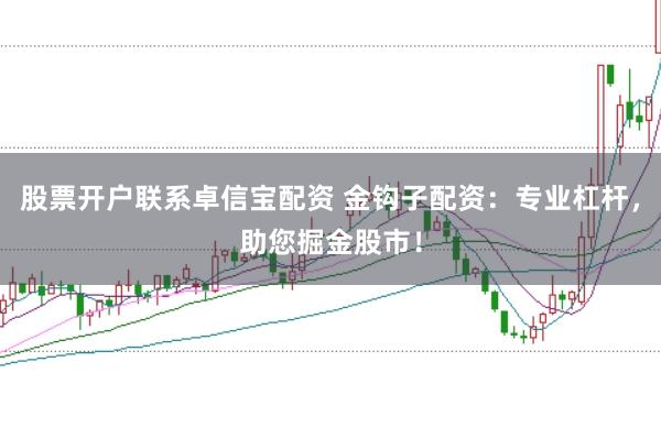 股票开户联系卓信宝配资 金钩子配资：专业杠杆，助您掘金股市！