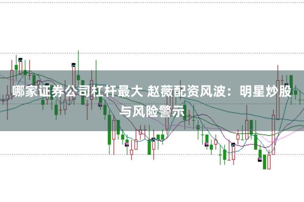 哪家证券公司杠杆最大 赵薇配资风波：明星炒股与风险警示