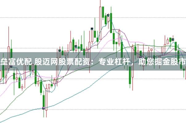 垒富优配 股迈网股票配资：专业杠杆，助您掘金股市