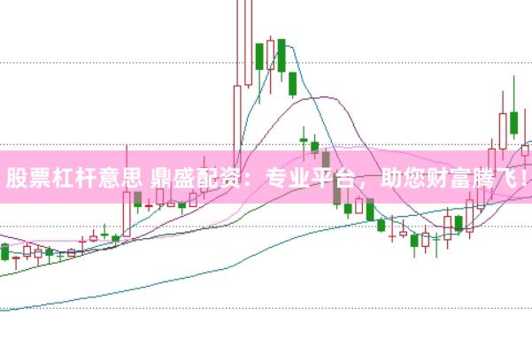 股票杠杆意思 鼎盛配资：专业平台，助您财富腾飞！