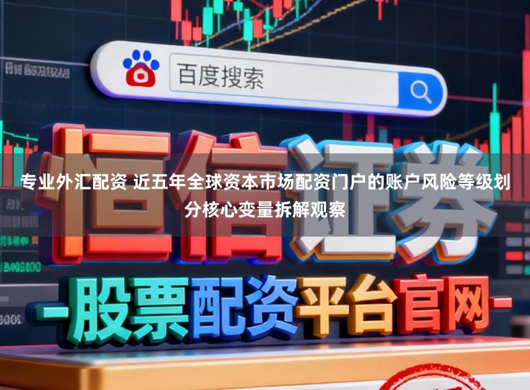专业外汇配资 近五年全球资本市场配资门户的账户风险等级划分核心变量拆解观察