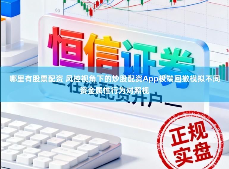 哪里有股票配资 风控视角下的炒股配资App极端回撤模拟不同资金属性行为对照视