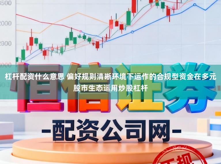 杠杆配资什么意思 偏好规则清晰环境下运作的合规型资金在多元股市生态运用炒股杠杆