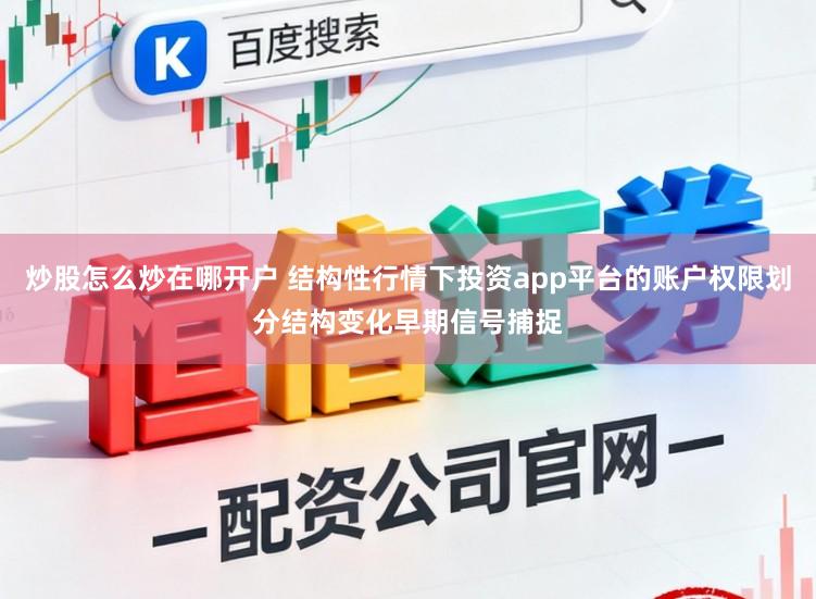 炒股怎么炒在哪开户 结构性行情下投资app平台的账户权限划分结构变化早期信号捕捉